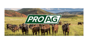 Partner-Grid-Pro-AG